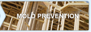 mold remediation portland or
